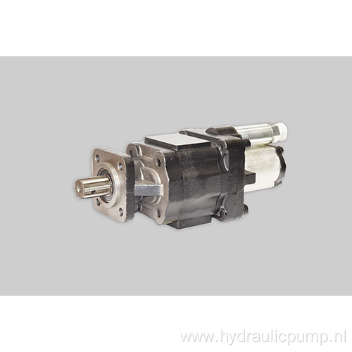 CBJ50-F100/D20-B5H Double Gear Pump